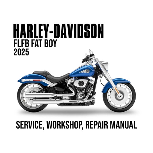 Harley davidson flfb - davidson, boy