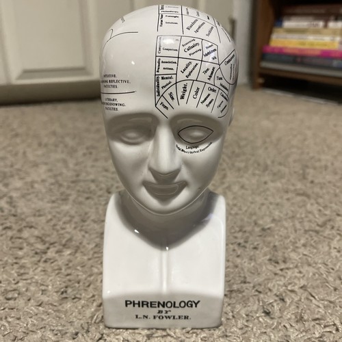 Phrenology head study of - head,