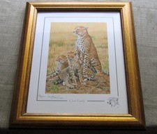 Stephen Gayford Signed Limited