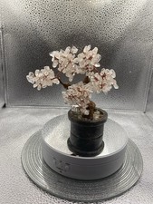 ORNAMENTAL BONSAI TREE