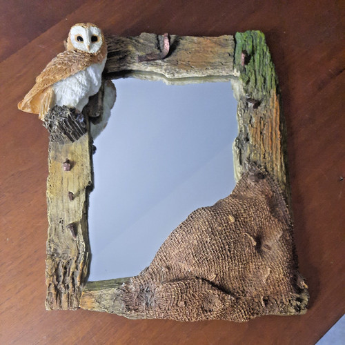 Barn owl and chicks in - and,