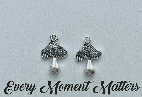 Tibetan silver fairy - 10,