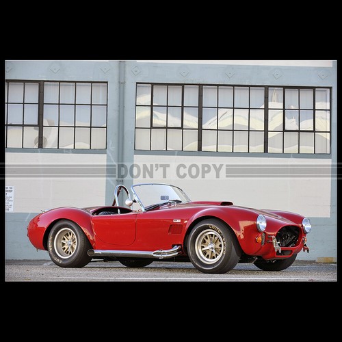 Photo 007936 shelby - photo, cobra