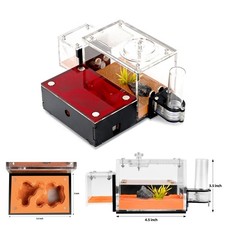 Ant Farm Formicarium Outworld Ant Housing Ant Nest for LIVE Ants