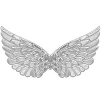 Adult Fabric Wings