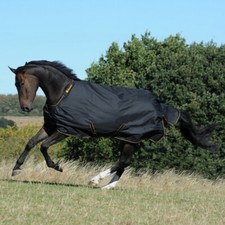 Bucas New Turnout Light