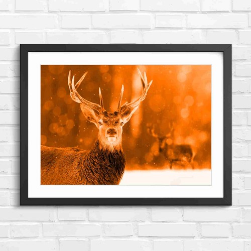 Majestic red stag snowy - stag, in