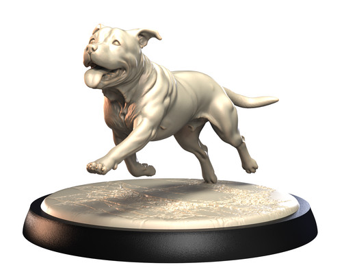 Dogs2 staffordshire bull - -,