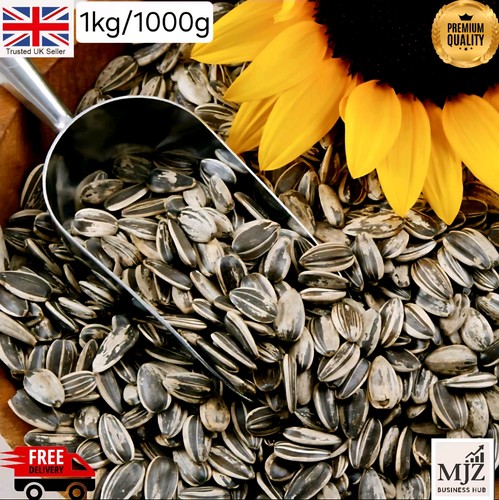 1kg sunflower seeds - sunflower,