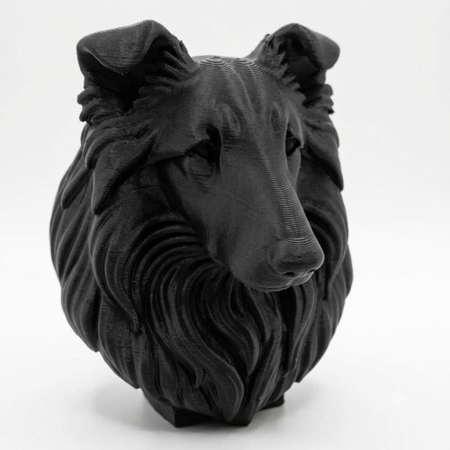 Rough collie dog bust home - dog,