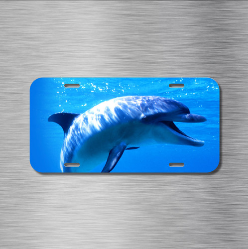 New dolphin flipper - new, ocean