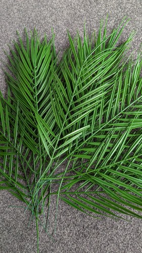 Artificial plants faux - artificial,
