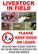 LIVESTOCK IN FIELD KEEP DOGS