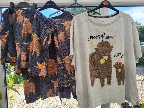Next highland cow shirt - next,