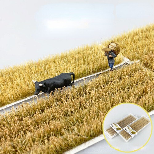 Miniature long strip wheat - strip,