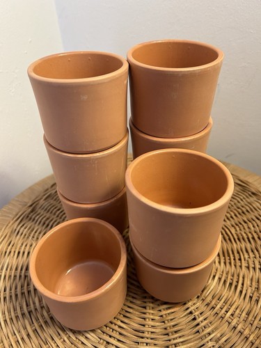 Mini terracotta plant pots - 9,