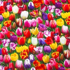 100% Cotton Fabric, Burst Of