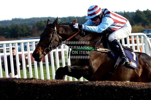 2004 best mate gold cup - 2004,
