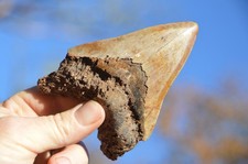 #R18 ,LOVELY BIG! 4.6"