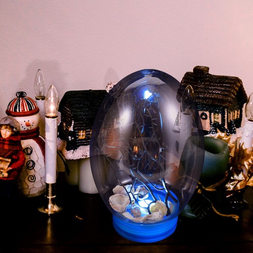 Closed ecosystem mini - ecosystem,