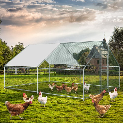 13x10ft large metal - large, chicken