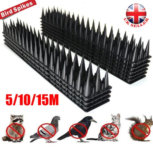 Bird spikes for - spikes,