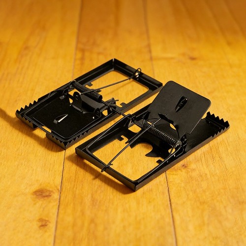Large rat trap mouse - trap,
