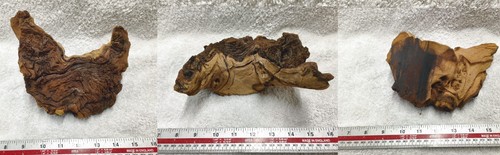 Mopani wood piece - wood,