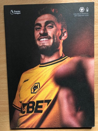 Wolves nottingham forest - wolves, v
