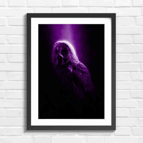 Dramatic great grey owl - dramatic,