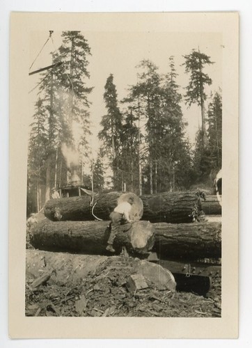 Malone washington logging - washington, wa
