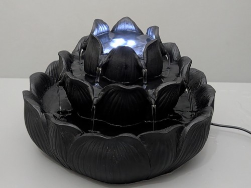 Tier lotus flower indoor - flower,