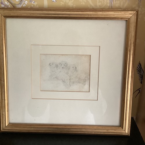 Horatio couldery dog - horatio, pencil