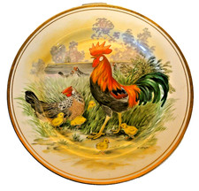 H Arndt Plate Chicken Family Brightly Coloured Plate Rooster Hen Chicks