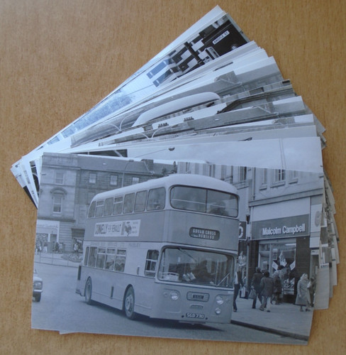 Graham bus service - bus,