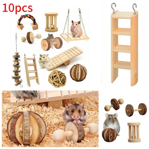 Pack wooden hamster chew - 10,