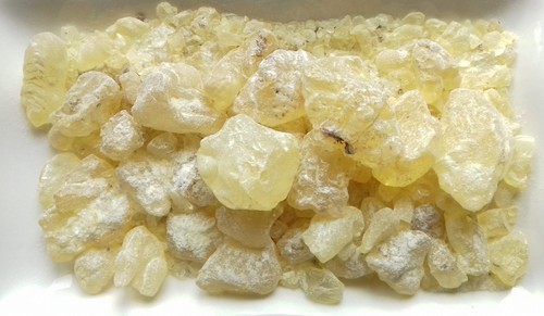 Damar gum resin - damar, a