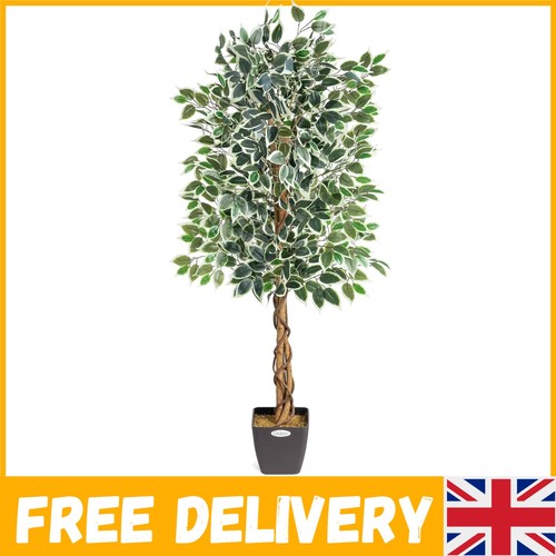 5ft artificial ficus - artificial,