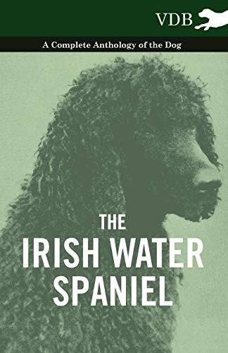 The irish water spaniel - irish,