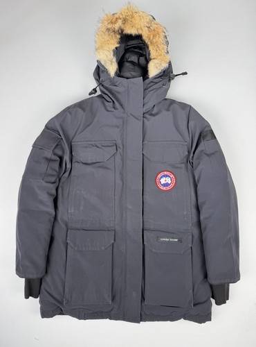 Canada goose expedition - goose,