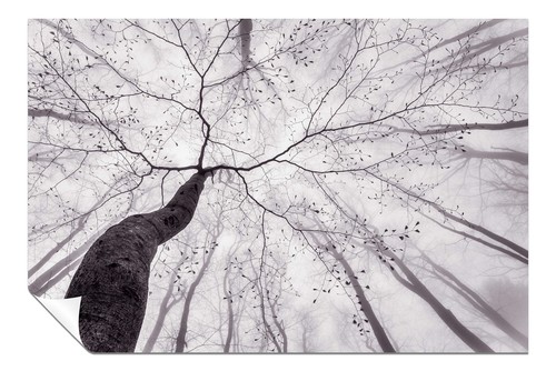 Monochrome black white - monochrome, &