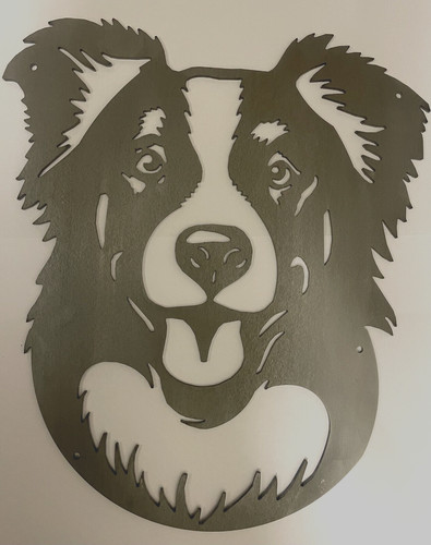 Large border collie sheepdog - collie,