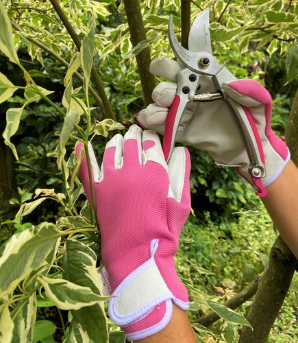 Ladies garden secateurs - garden,