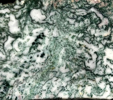 Green Tree Agate - India  4.5"