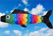 Spirit of Air Giant Fish Windsock 60" (152cm) Long for display pole