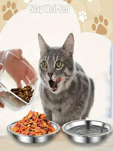 Stainless steel cat - stainless,