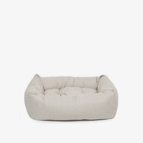 Lords labradors cosy - lords,