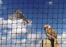 Garden netting heavy - garden,