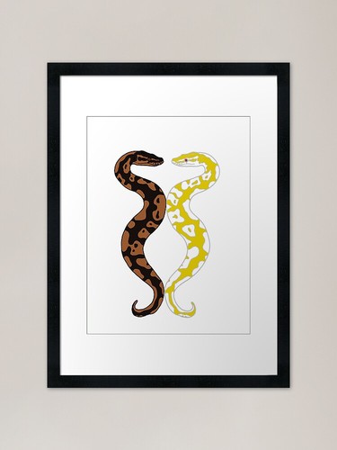 Twin ball pythons framed art - twin,
