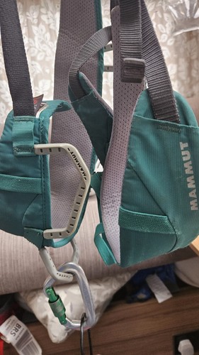 Mummut rock climbing harness - rock,